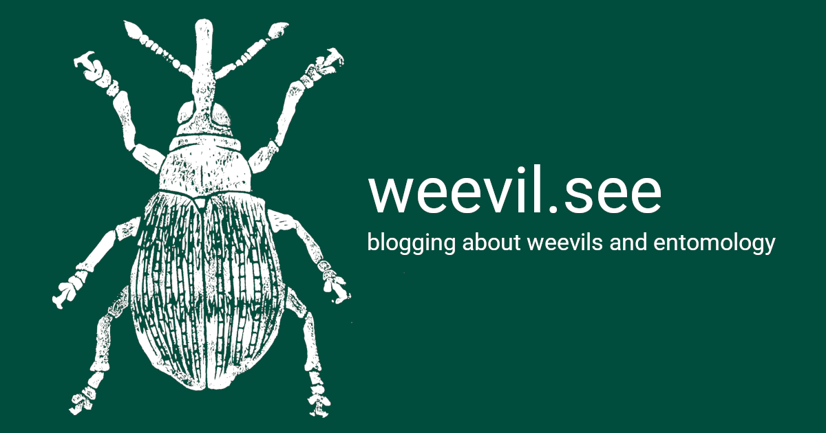 Weevil Source Weevil resources | weevil.see